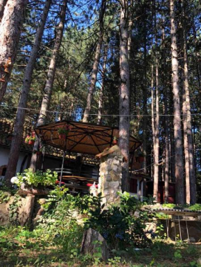 Apartman medju borovima 2
